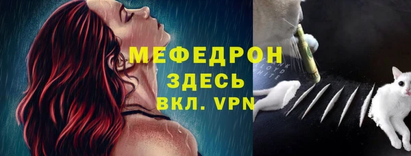 индика Михайлов