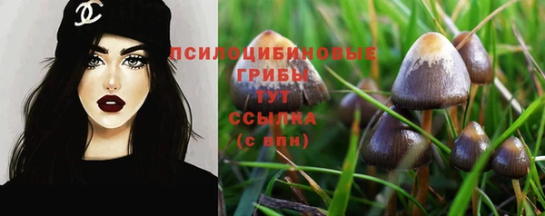 прущая мука Медвежьегорск