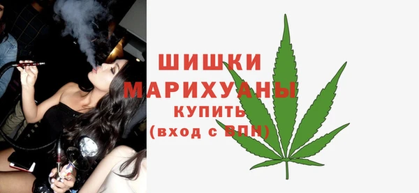 индика Михайлов