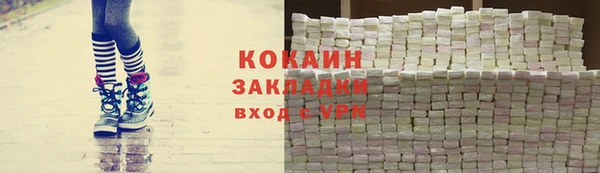 индика Михайлов