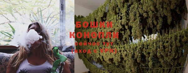 индика Михайлов