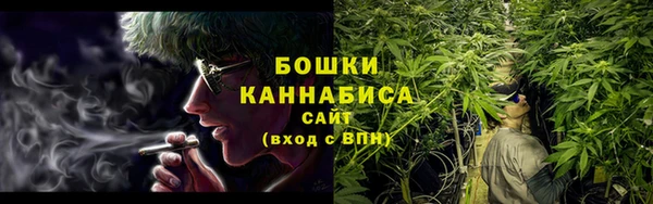 индика Михайлов