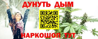 прущие крисы Кимры