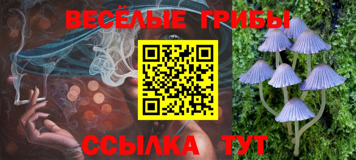 Галлюциногенные грибы Magic Shrooms Новоуральск