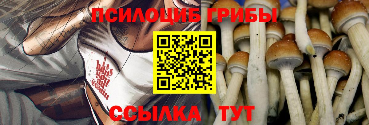 Новоуральск  Псилоцибиновые грибы Cubensis  Вход с VPN 
