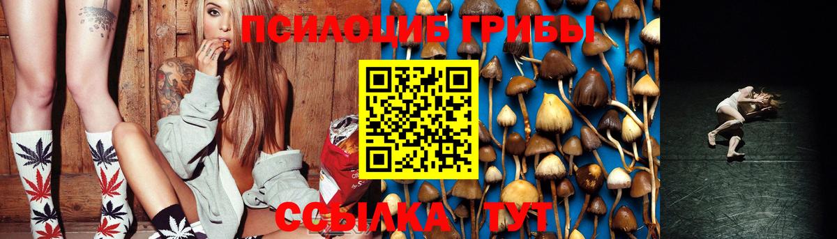 Галлюциногенные грибы Cubensis Новоуральск